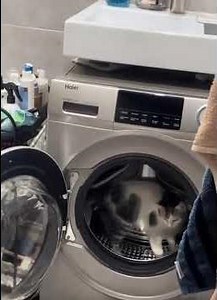 An affordable exercise wheel for @CuteCats 👍