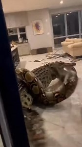 Python 🐍 vs Crocodile 🐊 unfolds as a massive, coiled python slithers through murky water while a sharp-eyed crocodile glides silently nearby, tension crackling in a deadly standoff where strength, speed, and survival instincts collide in the heart of the swamp. ⚠️ This scene is fully imagined and generated using AI for cinematic storytelling, with no real animals involved. #SwampShowdown #WildlifeReels #PythonVsCrocodile #NatureTension #CreatureClash #InstinctMoment | Insect Battlefront