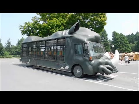 【アフリカンサファリ】待望のジャングルバス♪ 2020/8/5 アフリカンサファリ