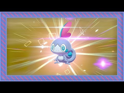 [LIVE] Shiny Sobble hatches after 1,617 eggs in Pokemon Sword [Full odds]