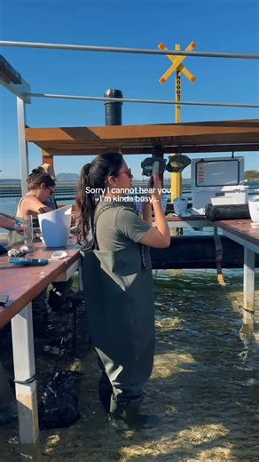 Sorry about that, we’ve been busy turning your oyster farm tours into the bext experience of your life 🤛🏻✨🦪 #oysters #coffinbayoysters #coffinbay #holidays #adventure #travel #eyrepeninsula | Oyster Farm Tours - Coffin Bay