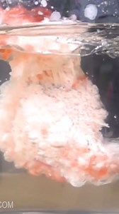 YOU WONT BELIEVE WHAT HAPPENS NEXT #diyprojects #reelsviral #science #viralreelsfb | The King of Random