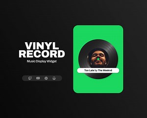 Vinyl Record Music Display Widget • Twitch Music Widget • Spotify Widget for Twitch & Youtube Streamers (streamelements) - Etsy