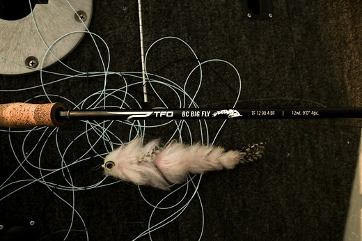 The BC Big Fly - A Musky Fool Review - Temple Fork Outfitters
