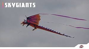 Our #XKites SkyGiants are here to rule the firmament ✨ Bet you can't miss them! Our three unique designs include: #F35 (71” W), #Dragon (121” W), and #Shark (95” L) ✨ Make a statement with one of our SkyGiants 😍 Music by: Purple Planet #FlyXKites #WINDNSUN #Tuesday #Kites #FlyaKite #Kite #ChildrensToys #ToyReviews #TipTuesday #Kites #FlyaKite | X Kites