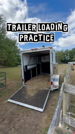 Trailer loading is a skill that often gets overlooked until it’s urgently needed—but it’s one of the most important things you can teach a horse. For Foals: Early exposure to the trailer builds confidence and prevents fear later in life. A foal that learns to load calmly becomes an adult horse that sees the trailer as routine, not stressful. For Adult Horses: Emergencies happen—whether it’s a veterinary situation, a barn move, or evacuation due to fire or flood. A horse that won’t load can put i