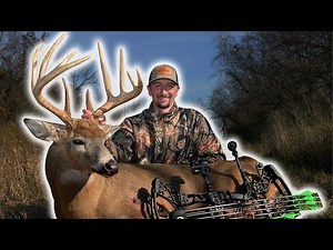 Bucks Everywhere! Incredible Rut Action