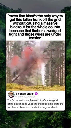 BLASTING TREES OFF POWER LINES