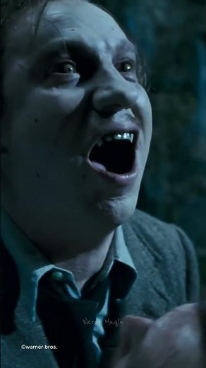 James Potter Facts Every Harry Potter Fan Should Know! #harrypotter #jamespotter #jamespotterfacts