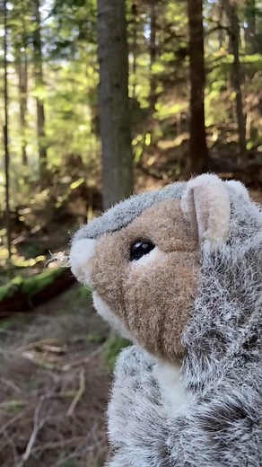 Squirrel (@squirrel_dialogues)’s videos with original sound - Squirrel