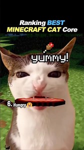 Ranking BEST MINECRAFT CAT Core! 🐾 ⛏️