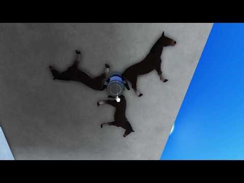 Really Weird Ceiling Fans in My Fourth House Running On All Speeds