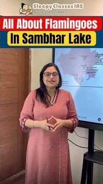 Greater and lesser Flamingoes turn Sambhar Lake Pink