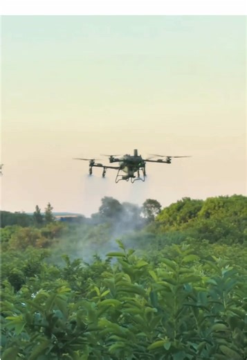 Skyrocketing agricultural input costs? DJI Drone’s precise operation helps farmers cut 80% of material costs! #agriculturaldrone #djidrone #djiagriculturaldrone #drone #DJI