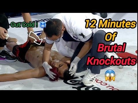 You Won’t Believe These Knockouts 😳 | 12 Minutes of Brutal KOs
