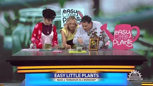 Join a terrarium class and explore plant artistry with Easy Little Plants