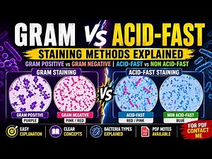 Staining Methods| Gram Staining & Acid-Fast Staining Explained | Gram Positive vs Negative #fyp