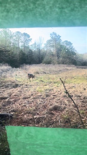 Using the Grunt for Effective 8 Point Communication