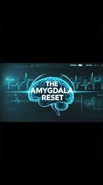 The Amygdala Reset | 1.2 Hz Trauma Loop Disruption Bisochronic™ Protocol