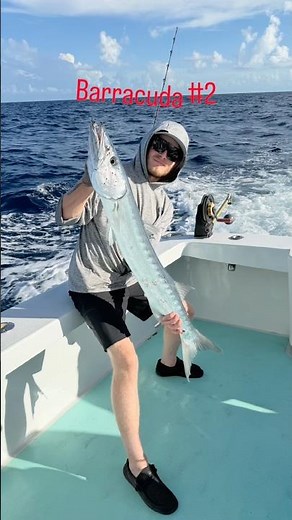 I Ate A PUMPING Wahoo Heart! Outer Limits Charters Fishing Madness! Part 1 #wahoo #Mahi #floridakeys