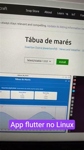 Aplicativo flutter no Linux, o que achou? comente #linux #developer #flutter #app
