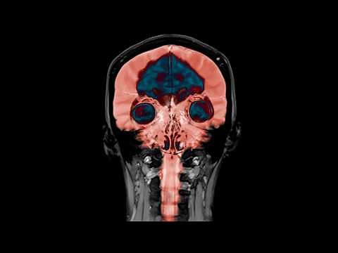 A Dad Ate Horrible Leftovers For Lunch And It Ruined His Life