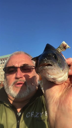 KILLER FISH 007 !!! TAGANKA 2023 !!! #fishing #skigear #carp #snowbaird #carpfishing #fish #winter