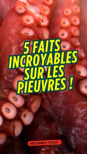 5 faits incroyables sur les pieuvres 🐙 (elles sont plus intelligentes que tu crois)