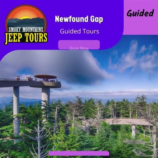 Spring Break Smoky Mountains Jeep Tour Deal 🚙🌄