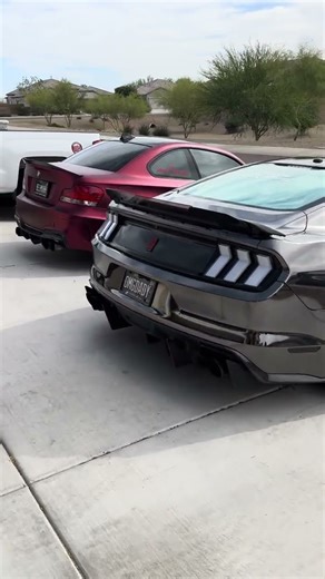Is this the best sounding mustang youve ever heard?! #arizona #mustang