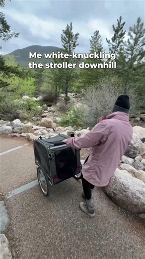 Me white-knuckling the stroller downhill 💀