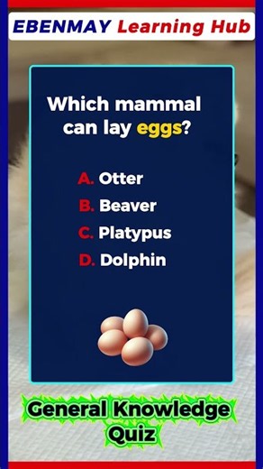 Are YOU a Genius? 🔥 | Which Mammal Can Lay Eggs? | General Knowledge Quiz