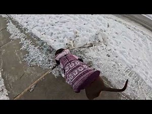 GoPro Hero 13 Black Review – 4K HDR Footage & Mic Test Outdoors