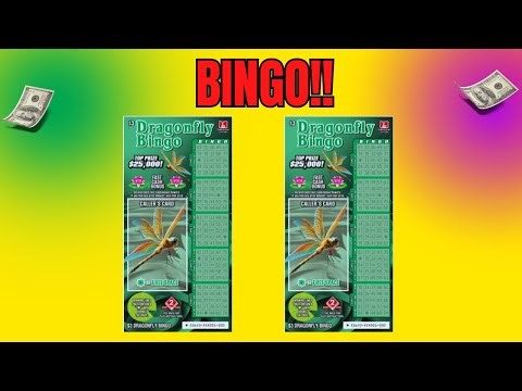 BINGO! DRAGONFLY BINGO WINNING TICKET SCRATCH OFF LOTTERY