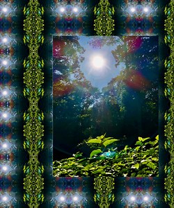 Sun God Concert & Tour History  | Concert Archives