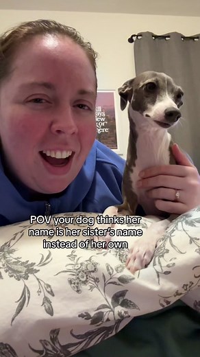 Phoebe Thinks Her Name Is Adelaide | Funny Dog Name Mix-up