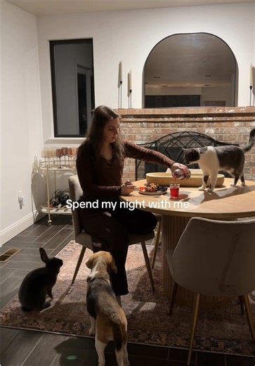 Life with beagles and bunnies and cats #nightroutine | Beagle