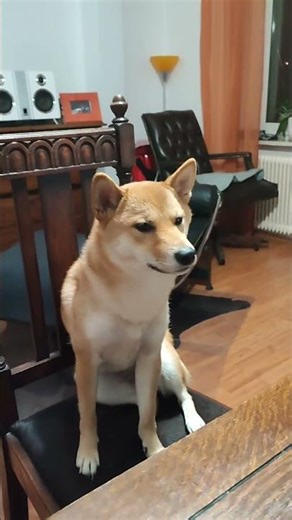 MTGF / MAKE THEKLA GREAT FOREVER / Dipl. Assistenz / Wiesbaden / Rhein / Thekla (Ingo) Anheisser