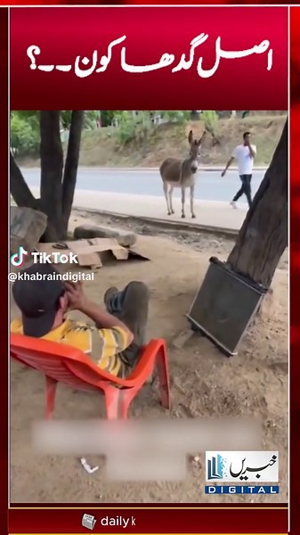 Understanding the Essence of Humor in Pakistani Culture