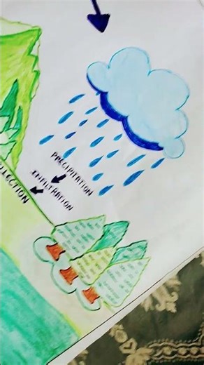 chart on water cycle # chart #drawing #Art and craft with sisters 👩👩