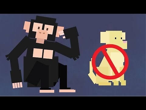 WHY CAN'T ANIMALS SPEAK?