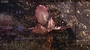 The Day of the Triffids (1963) Howard Keel, Nicole Maurey, Janette Scott
