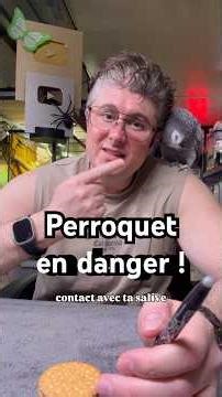 La salive…mortel !?😱 #perroquet #oiseau #grisdugabon #nacfamily #rock_n_insectesYT