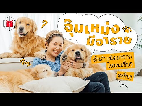 วันนี้จุ๊มเหม่งมีอะราย? อะชึ้บๆ ‪@japanandfriends‬ | The MATTER