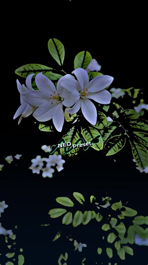 😞😞#fox2005_99 #foryoupageofficial #alightmotion_edit_preset #trankvideo #preset?xml🎟