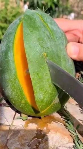 The Mango Illusion That’s Blowing Up Online.