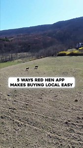 28K views · 186 reactions | Our dream is to make it easier than ever to support local farmers, are you in? | Regenerative Farmers of America | Facebook