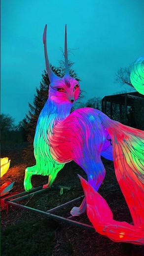 This is your sign to visit Glo Wild at the Fort Wayne Zoo before it’s gone ✨🏮