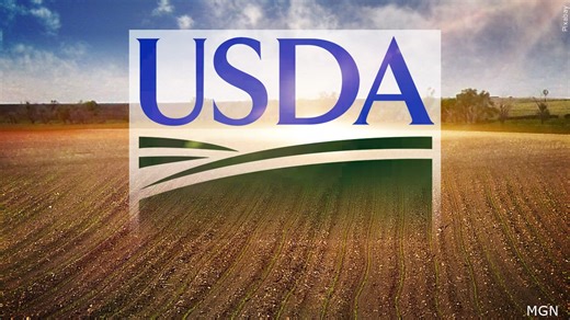 Emergency loan applications open for farmers in Texoma