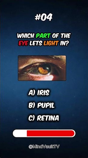 Can You Answer These Simple Science Questions? 🔬